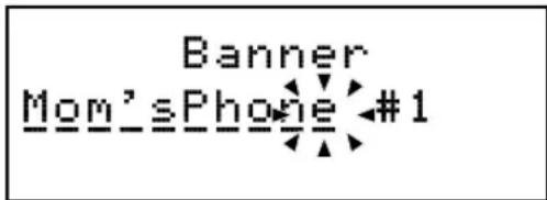 Banner Mom's Phone #1
