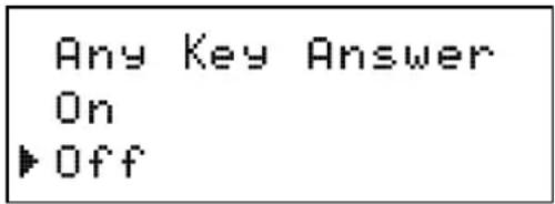 Any Key Answer On ▶ Off