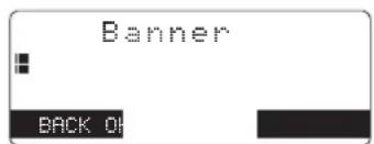 Banner BACK OK