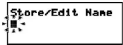 Store/Edit Name
