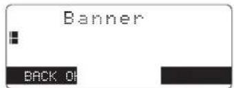 Banner BACK .OK