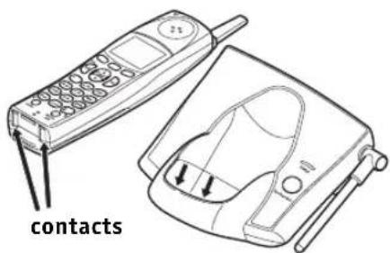 contacts