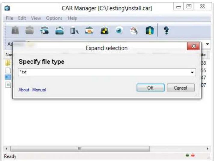 CAR Manager [C:\Testing\install.car] File Edit View Options Help Expand selection Specify file type *.bdt About Manual OK Cancel Ready
