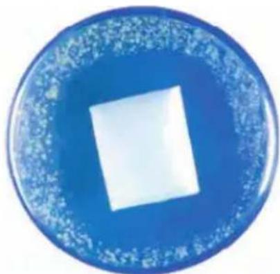 BUSH BVC1805 - + more hygienic dust disposal - 4