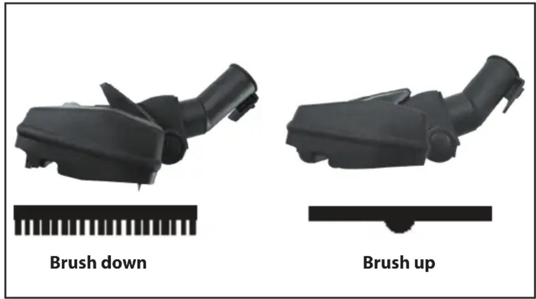 Brush down Brush up