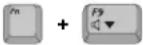 SAMSUNG NT10FK02CX - Using Special Function Keys - 7