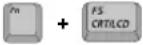 SAMSUNG NT10FK02CX - Using Special Function Keys - 4