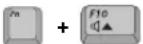 SAMSUNG NT10FK02CX - Using Special Function Keys - 8