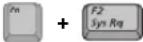 SAMSUNG NT10FK02CX - Using Special Function Keys - 3