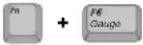 SAMSUNG NT10FK02CX - Using Special Function Keys - 5