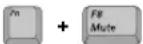 SAMSUNG NT10FK02CX - Using Special Function Keys - 6