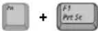 SAMSUNG NT10FK02CX - Using Special Function Keys - 2
