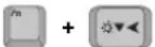 SAMSUNG NT10FK02CX - Using Special Function Keys - 11