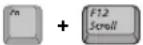 SAMSUNG NT10FK02CX - Using Special Function Keys - 10