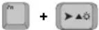 SAMSUNG NT10FK02CX - Using Special Function Keys - 12