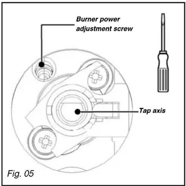 Burner power adjustment screw Tap axis Fig. 05