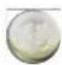 SAMSUNG NP25FP0N52 - The default settings for these buttons are: - 1