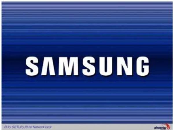 SAMSUNG NP-Q1UC - Entering the BIOS Setup - 1