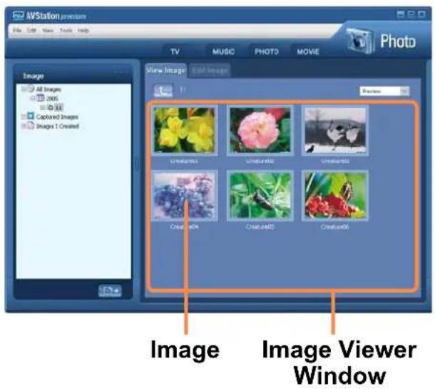 SAMSUNG NP-Q1UC - Viewing an Image - 1