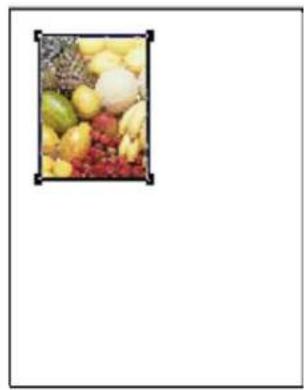 PANASONIC KX-PS8000 - ■ The desired area of the image can be duplicated - 2