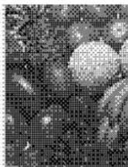 PANASONIC KX-PS8000 - Dither (Color / Black &amp; White Halftone) - 1