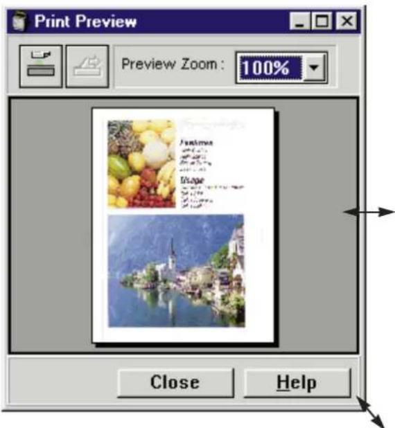Print Preview Preview Zoom: 100% Astronics Image Close Help