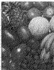 PANASONIC KX-PS8000 - Dither (Color / Black &amp; White Halftone) - 13
