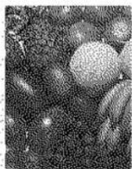 PANASONIC KX-PS8000 - Dither (Color / Black &amp; White Halftone) - 7