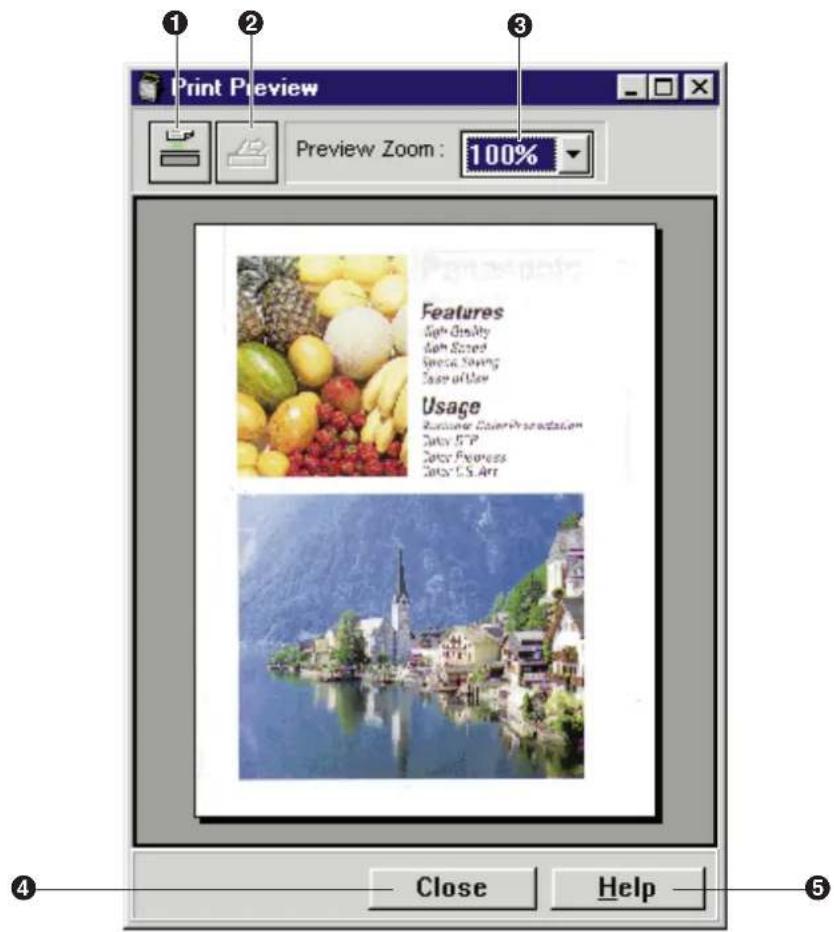 Print Preview Preview Zoom : 100% Features Fish Quality Fish Sized Species Spring Case of User Usage Rustine Color/Preparation Date: S.P. Date: Progress Date: C.S. Art Close Help