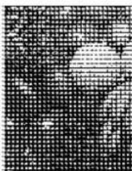 PANASONIC KX-PS8000 - Dither (Color / Black &amp; White Halftone) - 5