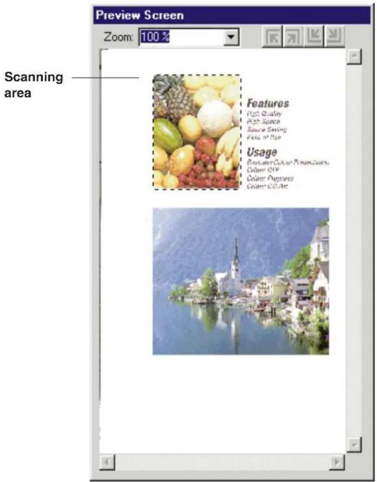 Preview Screen Zoom: 100 % Scanning area Features Hot Quality Hot Space Source Saving Fines of Use Usage Bottle Color Painting Color OFF Color Overlay Color C/C Art