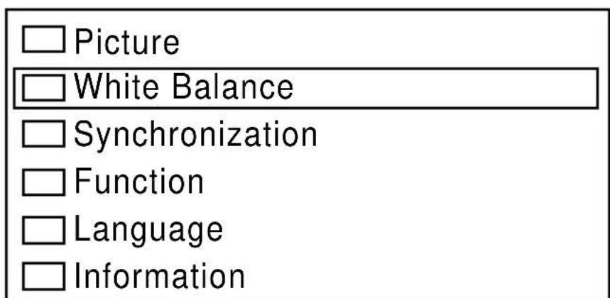 Picture White Balance Synchronization Function Language Information