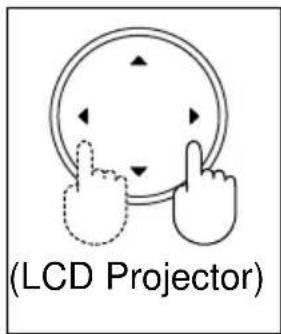 (LCD Projector)