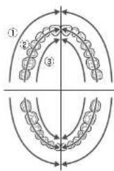 PANASONIC EW-TDEF4 - Example of brushing sequence - 1