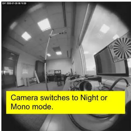 Camera switches to Night or Mono mode.