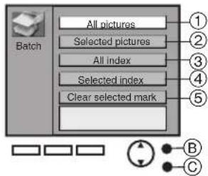 Batch All pictures Selected pictures All index Selected index Clear selected mark ① ② ③ ④ ⑤ B C