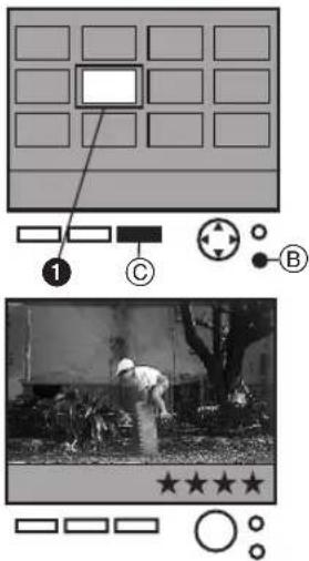 Diagram showing a grid layout with labeled components and a photo of a person in a field, accompanied by a rating scale.