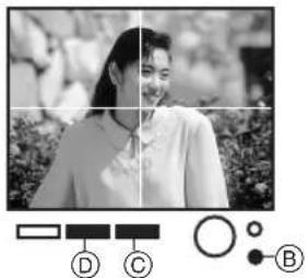 PANASONIC NV-APD1EN - Viewing Slideshows - 5