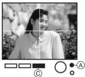 PANASONIC NV-APD1EN - Viewing Slideshows - 4