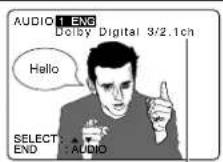 PANASONIC PV-27D53 - Audio Soundtrack Language (DVD only) - 1