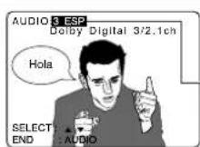 PANASONIC PV-27D53 - Audio Soundtrack Language (DVD only) - 2
