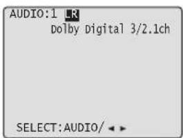 AUDIO:1 LR Dolby Digital 3/2.1ch SELECT:AUDIO/
