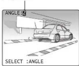ANGLE:2 SELECT :ANGLE