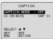 PANASONIC PV-24DF62 - Caption On Mute Feature - 6