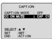 PANASONIC PV-24DF62 - Caption On Mute Feature - 8