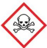 Panduit PCT-1083-C - Pictogram labels comply with the Globally Harmonized System. - 6