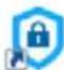 WESTERN DIGITAL My Passport Go 5 - IF you selected the ... option THEN ... - 5