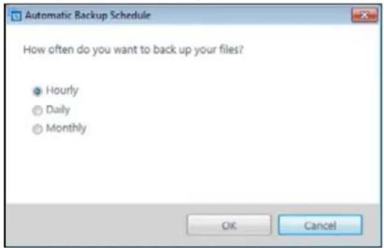 Automatic Backup Schedule How often do you want to back up your files? Hourly Daily Monthly OK Cancel