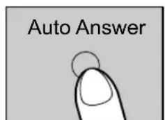 Auto Answer