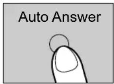 Auto Answer